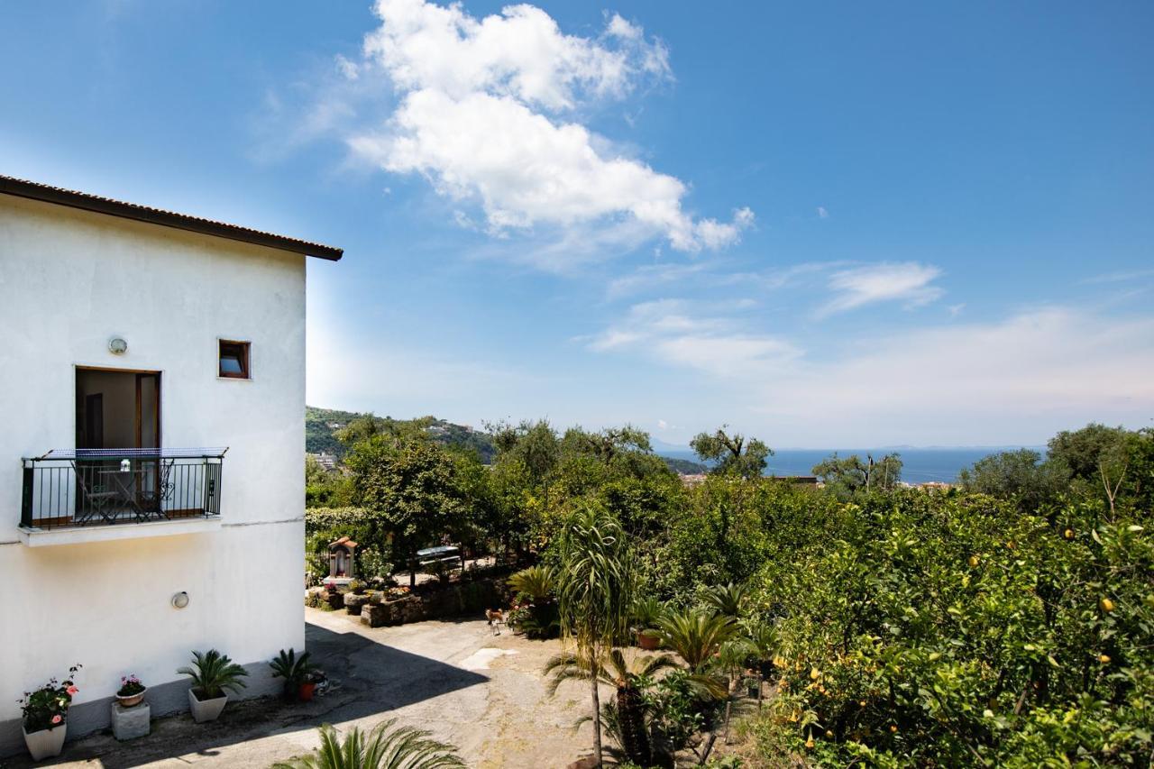 Yourhome - San Valerio Home Sorrento Ngoại thất bức ảnh