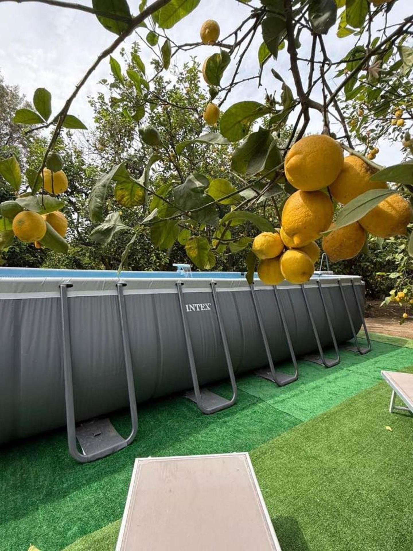 Yourhome - San Valerio Home Sorrento Ngoại thất bức ảnh